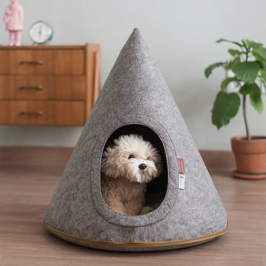 A small white dog curled inside a grey felt pet cave
